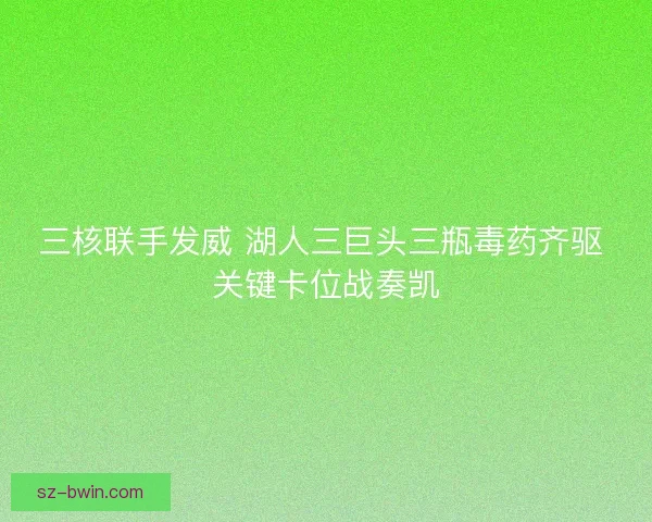 三核联手发威 湖人三巨头三瓶毒药齐驱 关键卡位战奏凯