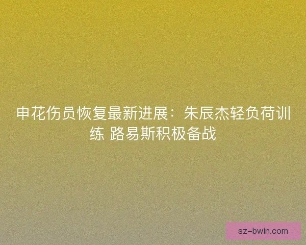 申花伤员恢复最新进展：朱辰杰轻负荷训练 路易斯积极备战