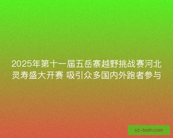 2025年第十一届五岳寨越野挑战赛河北灵寿盛大开赛 吸引众多国内外跑者参与