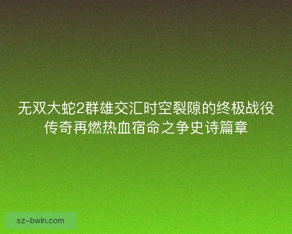无双大蛇2群雄交汇时空裂隙的终极战役传奇再燃热血宿命之争史诗篇章
