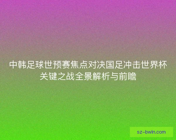中韩足球世预赛焦点对决国足冲击世界杯关键之战全景解析与前瞻